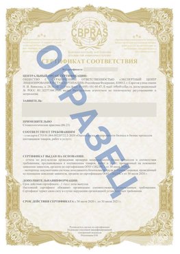 Образец Сертификат СТО 01.064.00220722.2-2020 Демидово Сертификат СТО 01.064.00220722.2-2020 
